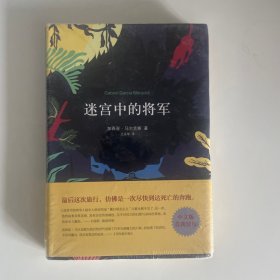 迷宫中的将军