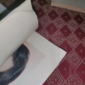 明星 周慧敏 玉女心经