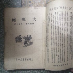 大红袍，小红袍两本