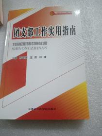 团支部工作实用指南/中国共青团文库培训书系