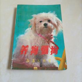 养狗驯狗与名犬欣赏