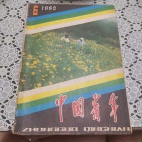 中国青年（1982年第6期）