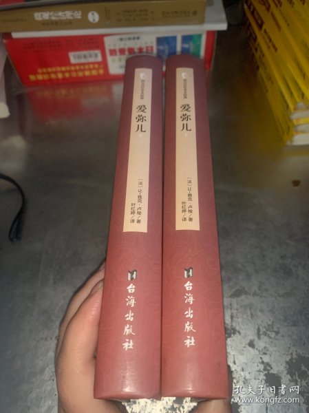 爱弥儿（上下册）（西方学术经典·精装版）