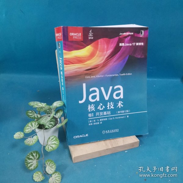 Java核心技术 卷I：开发基础（原书第12版）