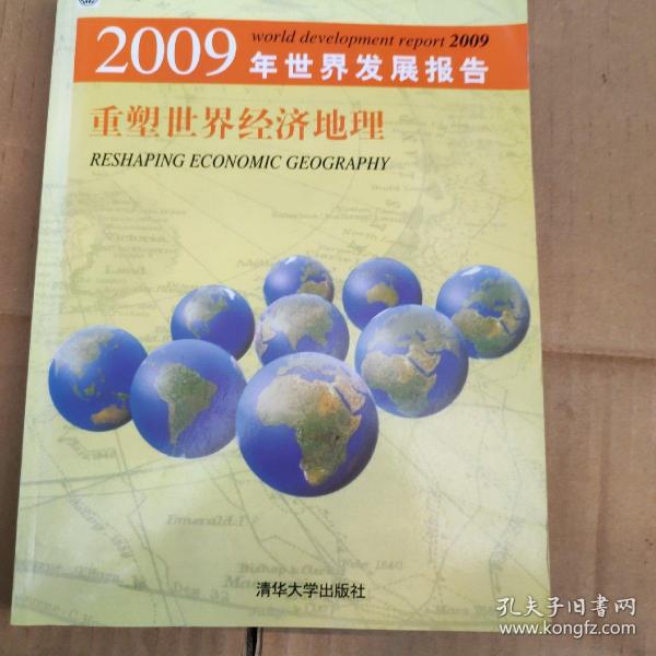 2009年世界发展报告：重塑世界经济地理