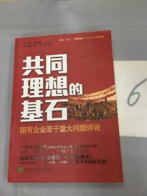 共同理想的基石：国有企业若干重大问题评论