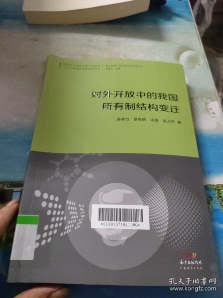 对外开放中的我国所有制结构变迁/国际视野下的中国对外开放丛书