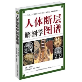 正版 人体断层解剖学图谱 刘树伟 山东科学技术出版社