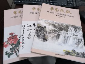 华艺绽放 中国当代书画名家作品集