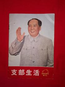 红色经典丨支部生活-革命样板戏画刊（全一册）1970年版！