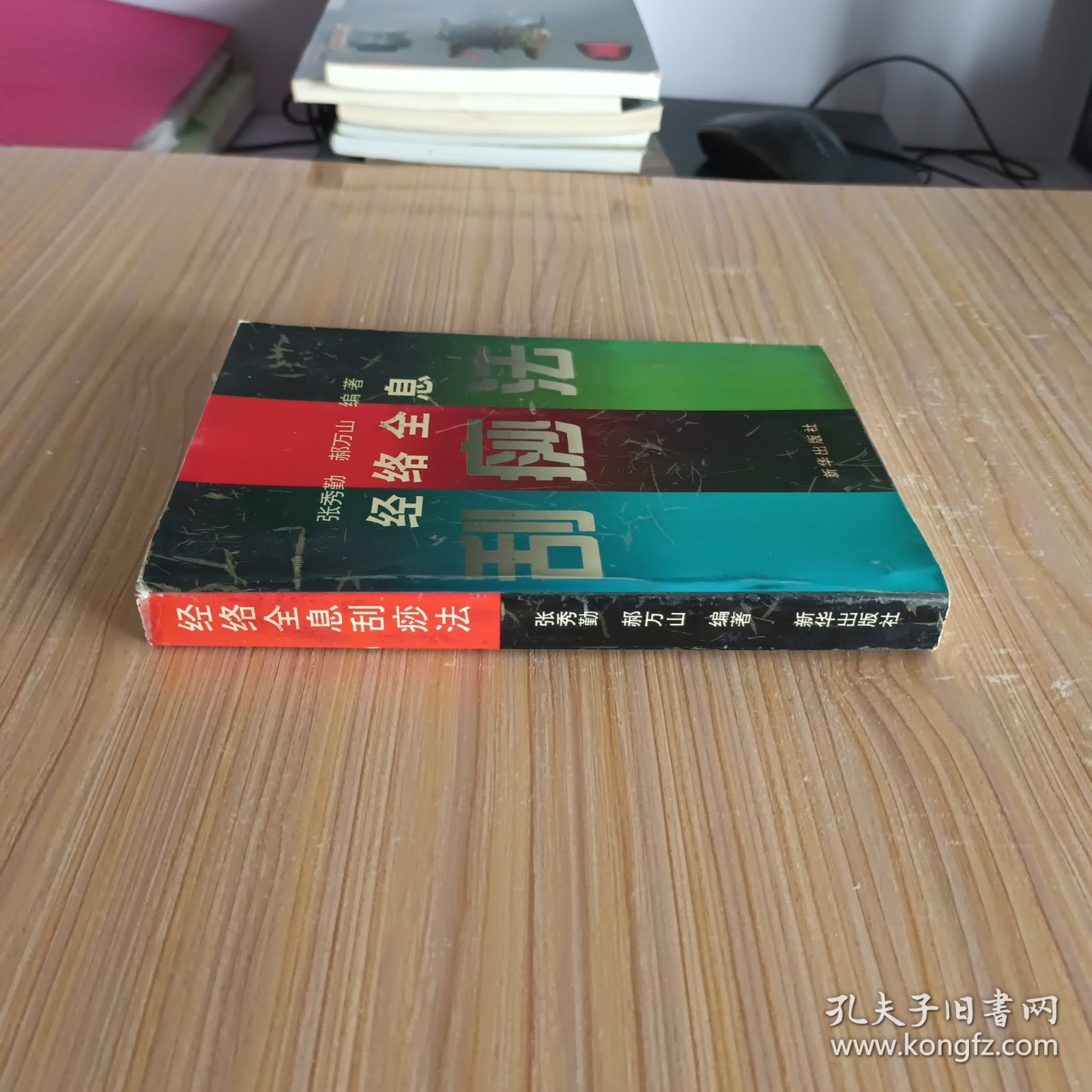 经络全息刮痧法