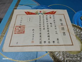 1950年宝坻师范毕业证（中间撕开又粘上）