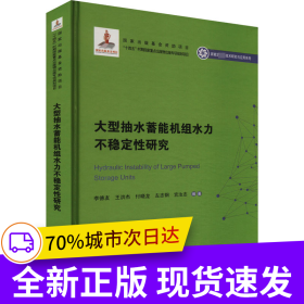 大型抽水蓄能機(jī)組水力不穩(wěn)定性研究