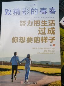致精彩的青春努力把生活过成你想要的样子