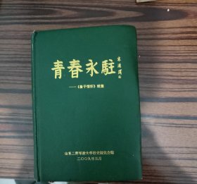 青春永驻-《鲁子情怀》续集