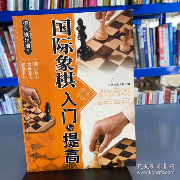 棋牌娱乐指南：国际象棋入门与提高