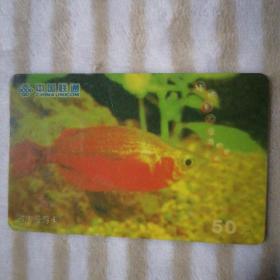 中国联通漫游卡：金鱼