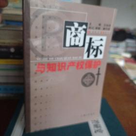 商标与知识产权保护