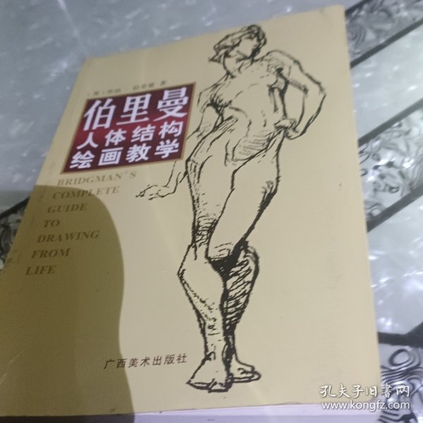 伯里曼人体结构绘画教学