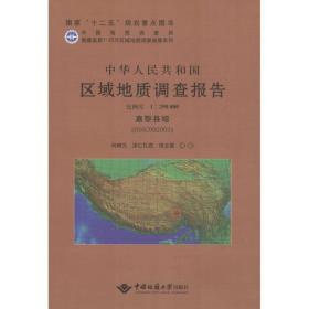 中华共和国区域地质调查报告 冶金、地质 向树元,泽仁扎,田立富 等 新华正版