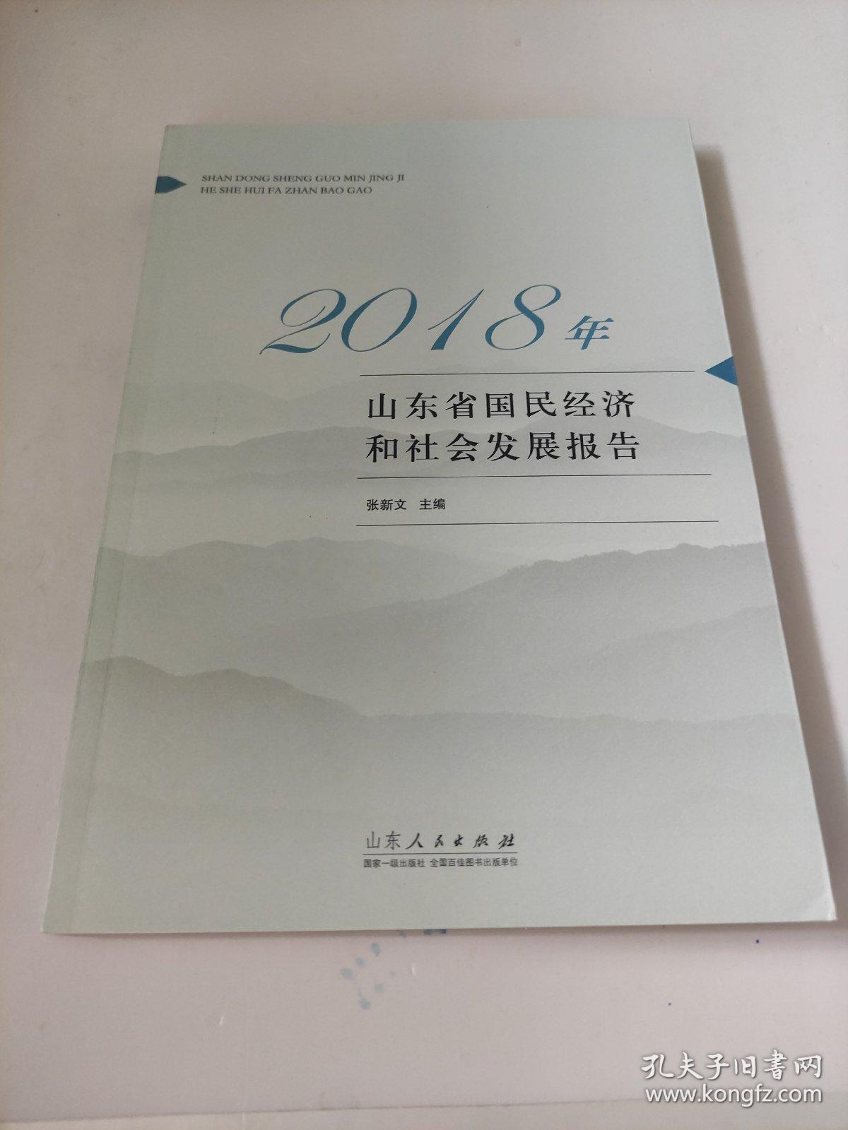 2018年山东省国民经济和社会发展报告