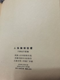 人体解剖图谱