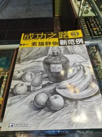 成功之路：素描静物新范例3