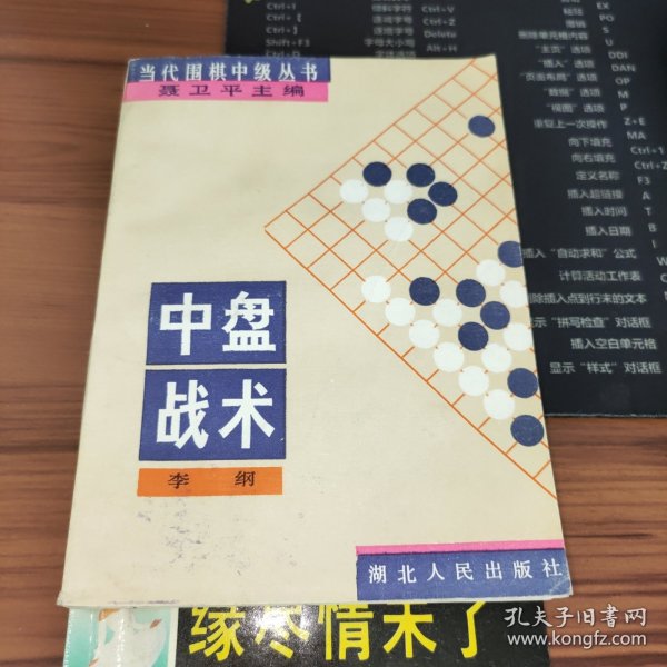 中盘战术：当代围棋中级丛书