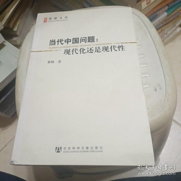 当代中国问题：现代化还是现代性