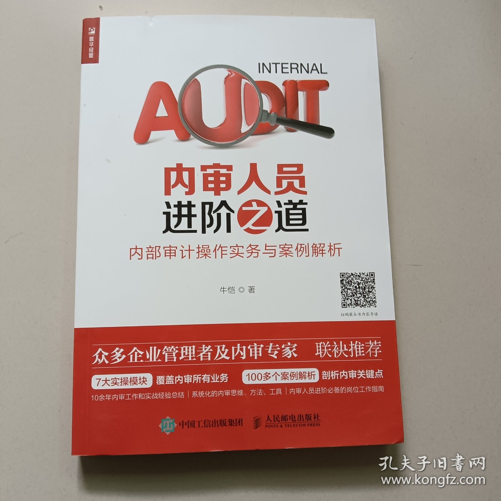 内审人员进阶之道 内部审计操作实务与案例解析