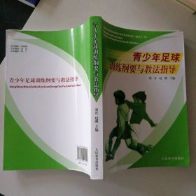 青少年足球训练纲要与教法指导