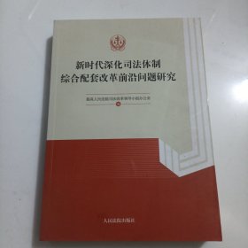 新时代深化司法体制综合配套改革前沿问题研究