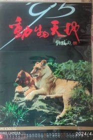 95年动物天地挂历