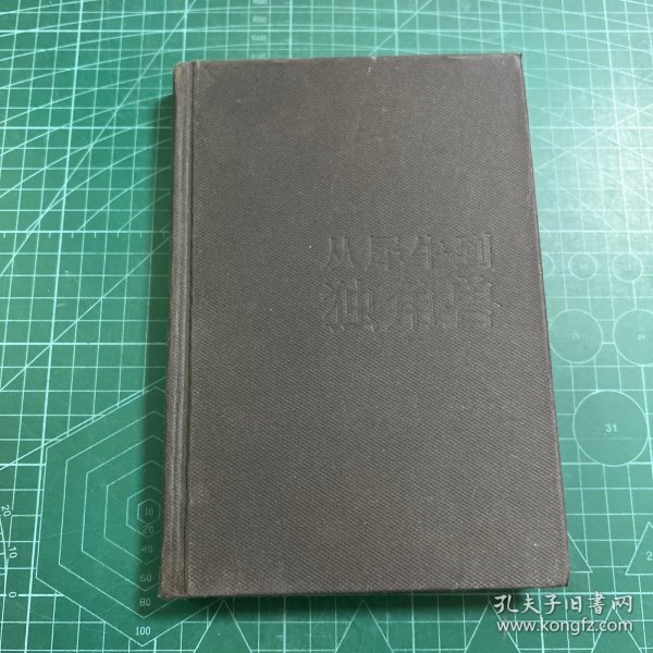 从犀牛到独角兽：传统企业如何实现数字化转型秦朔、滕泰、任泽平、于洋、易欢欢、赵国栋倾力推荐