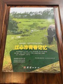 南通市档案馆《江心沙青春记忆》都是知青老照片