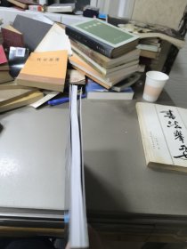 奇异摄动边界层和内层理论