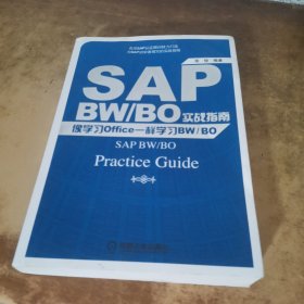 SAP BW/BO实战指南：像学习Office一样学习BW/BO