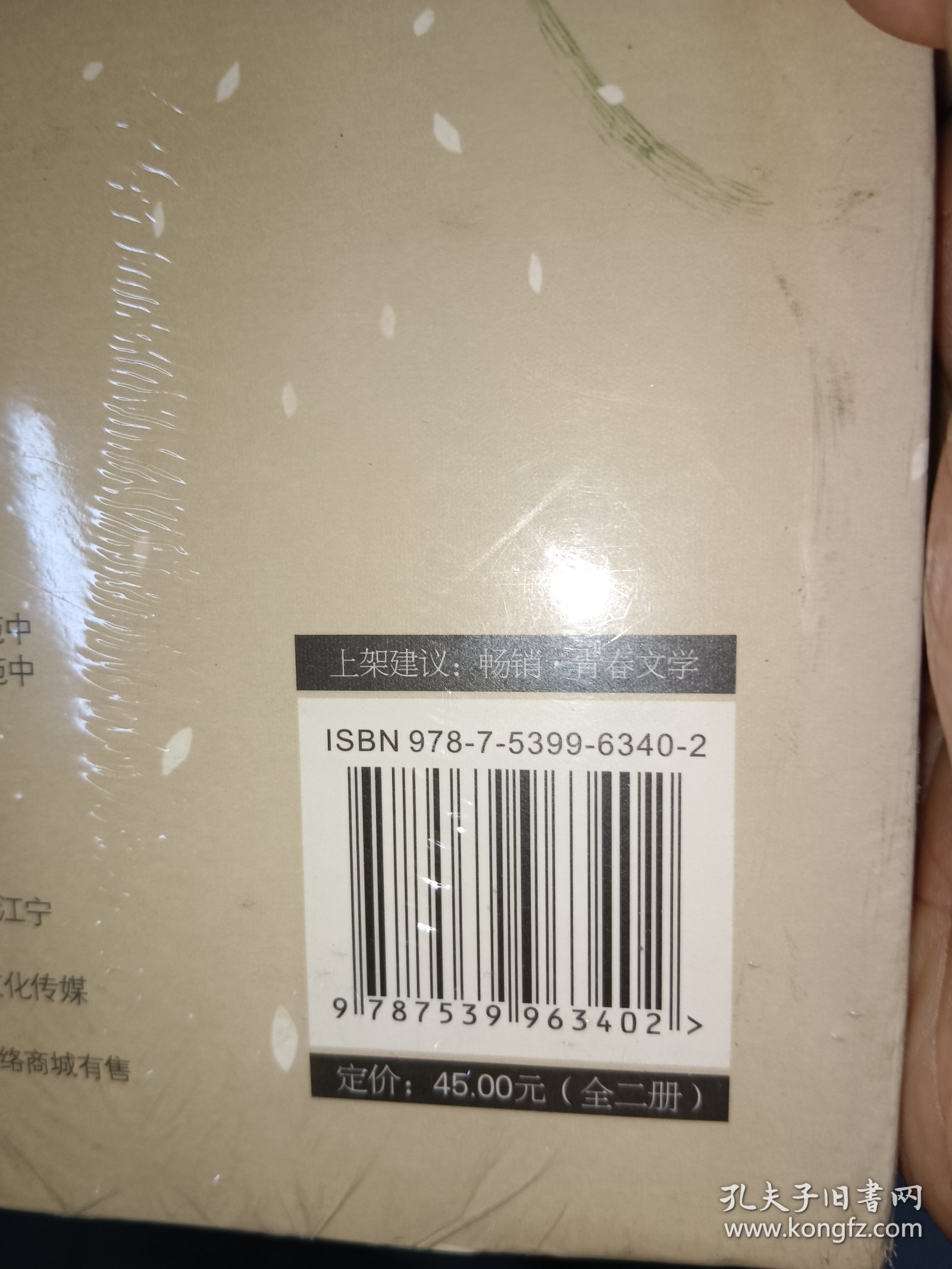 匆匆那年：完美纪念版