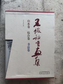 王俊松书画集（山水卷 综合卷 书法卷）