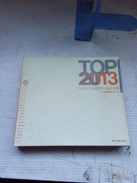 TOP20：2013中国当代摄影新锐展作品集