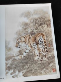 邢世靖工笔虎作品选
