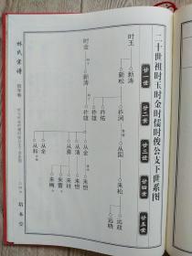 湖北黄冈林家大湾林彪家族家谱:林氏宗谱 [信字卷]