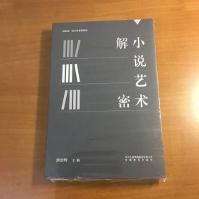 小说艺术解密码（原塑封）