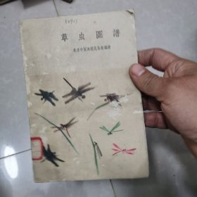 草虫图谱 （北京中国画院彩图）绘画
