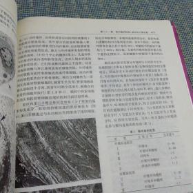 骨科基础科学:骨关节肌肉系统生物学和生物力学