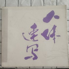 人体速写