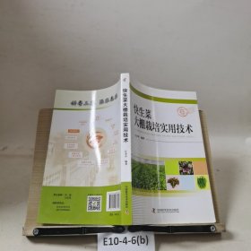 快生菜大棚栽培实用技术