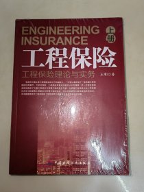 工程保险（上下）：工程风险评估理论与实践 未开封