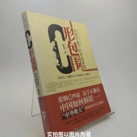 C形包围：内忧外患下的中国突围