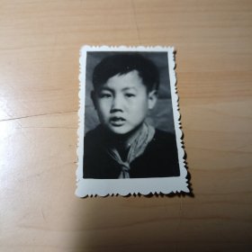 老照片–系红领巾的帅气男孩半身照